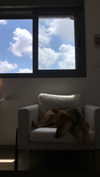 indielevi_ Altpins Profile Picture