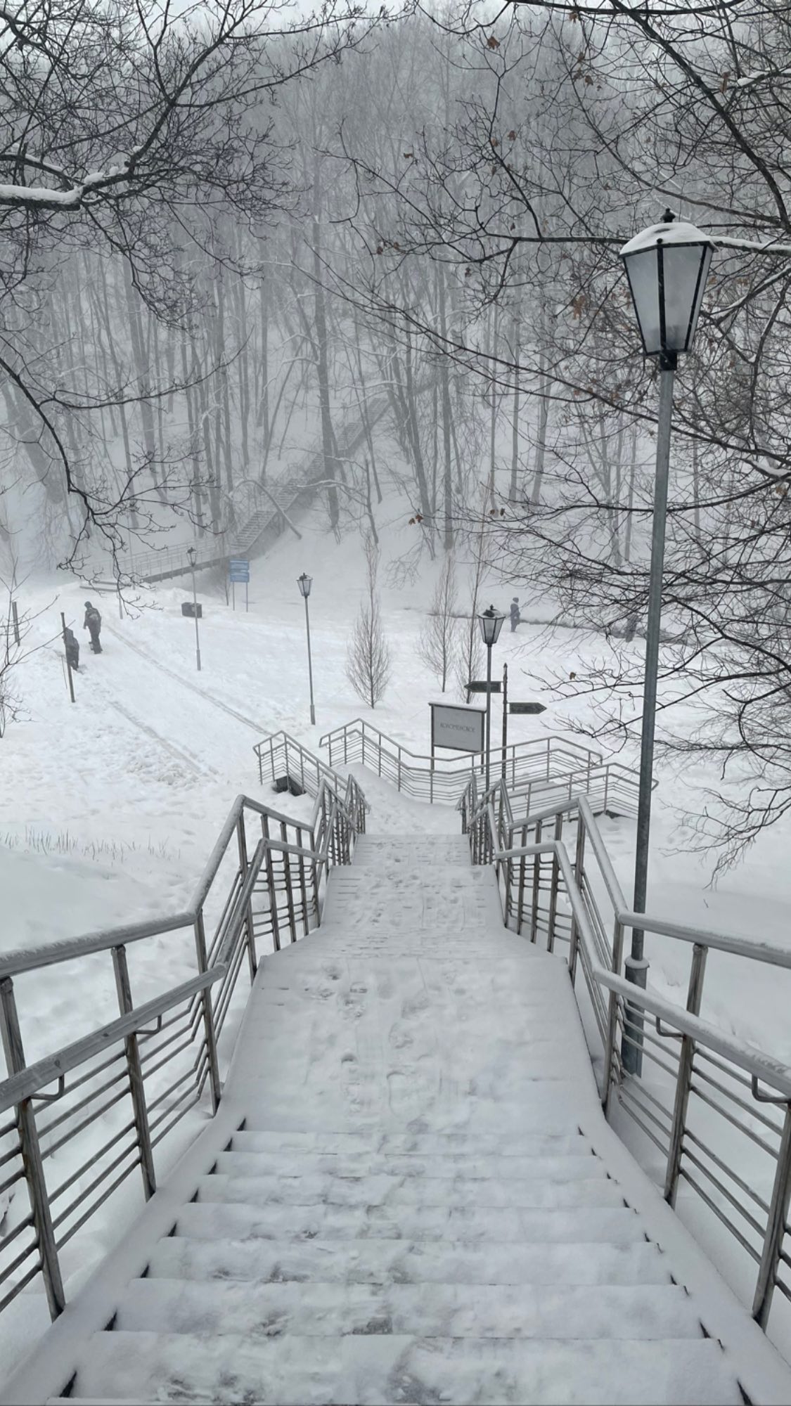 ira_dash_ instagram image archive image