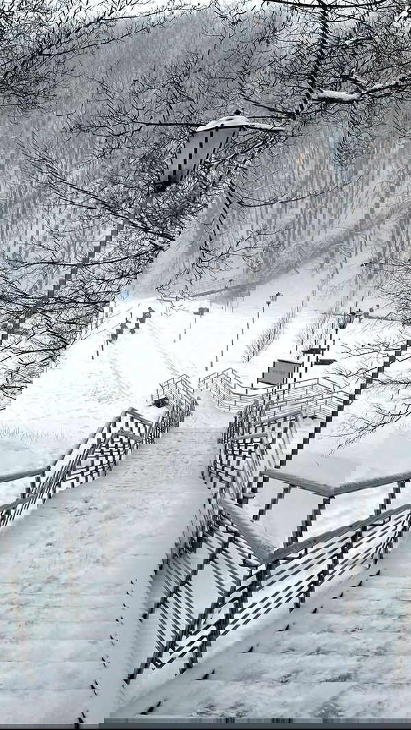 ira_dash_ image ~ Altpins