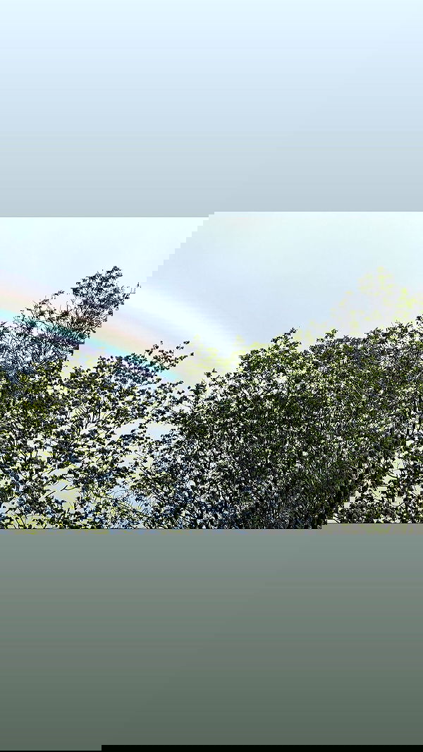 ira_dash_ image ~ Altpins