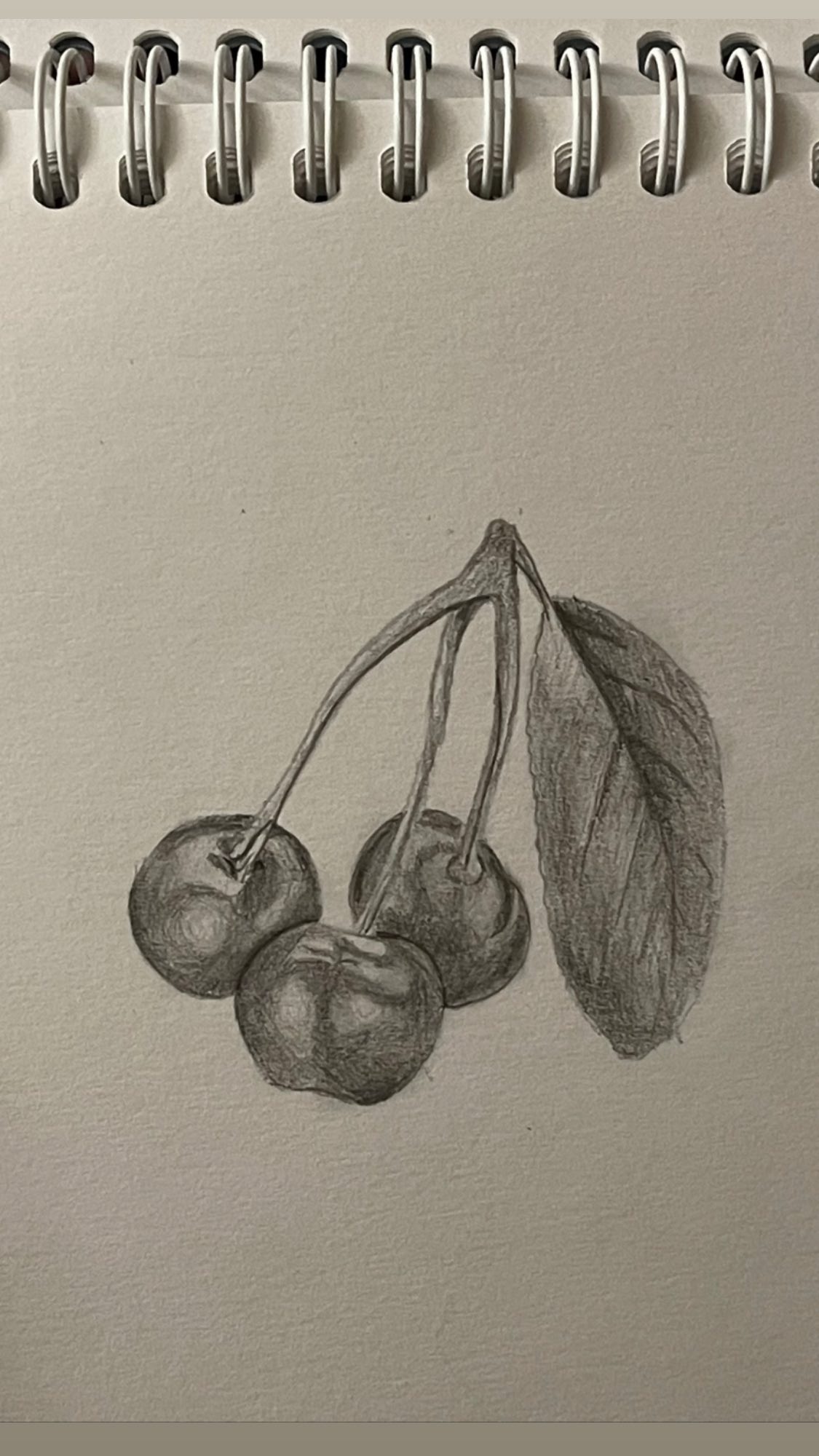 ira_dash_ instagram image archive image