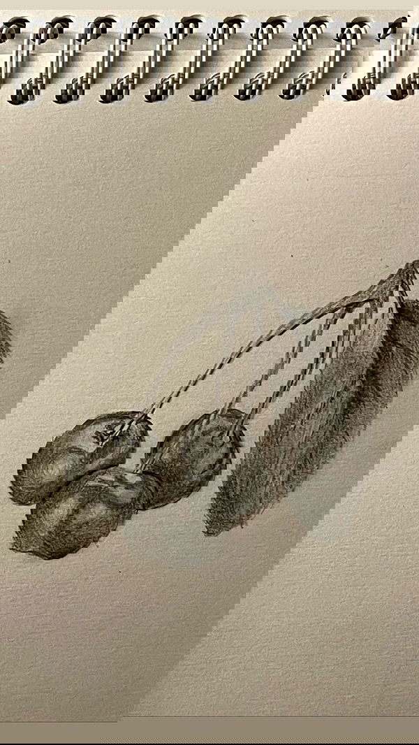 ira_dash_ image ~ Altpins