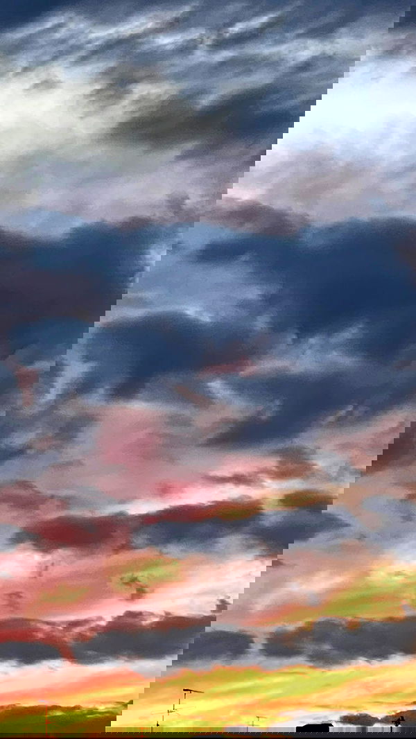 ira_dash_ image ~ Altpins