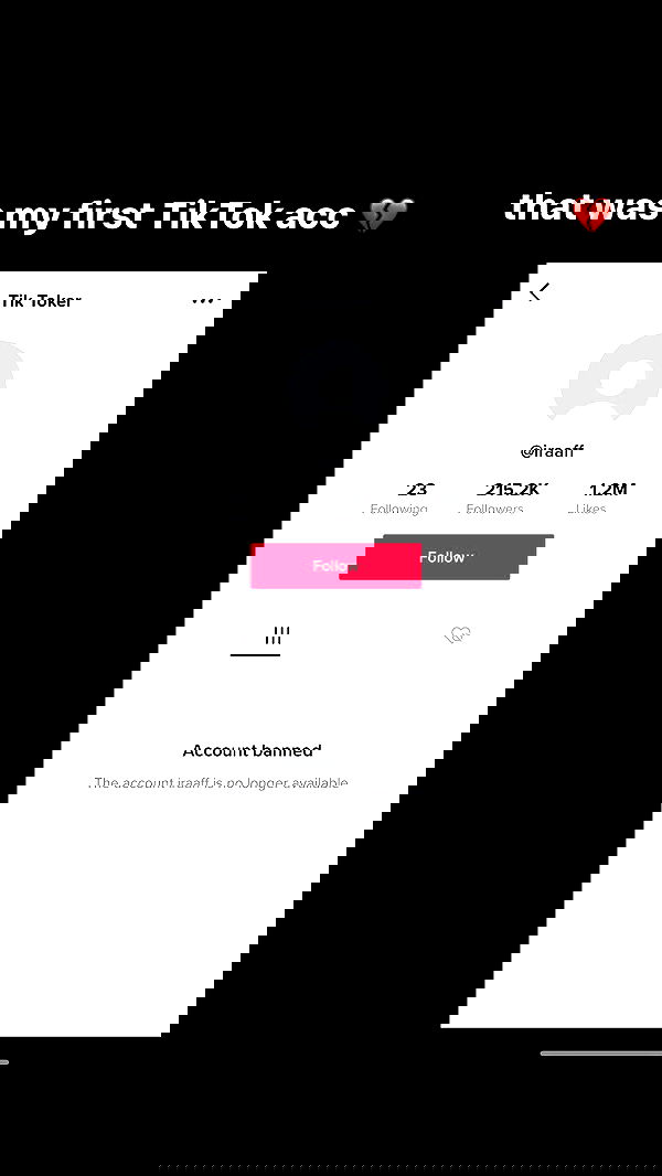 ira_dash_ image ~ Altpins