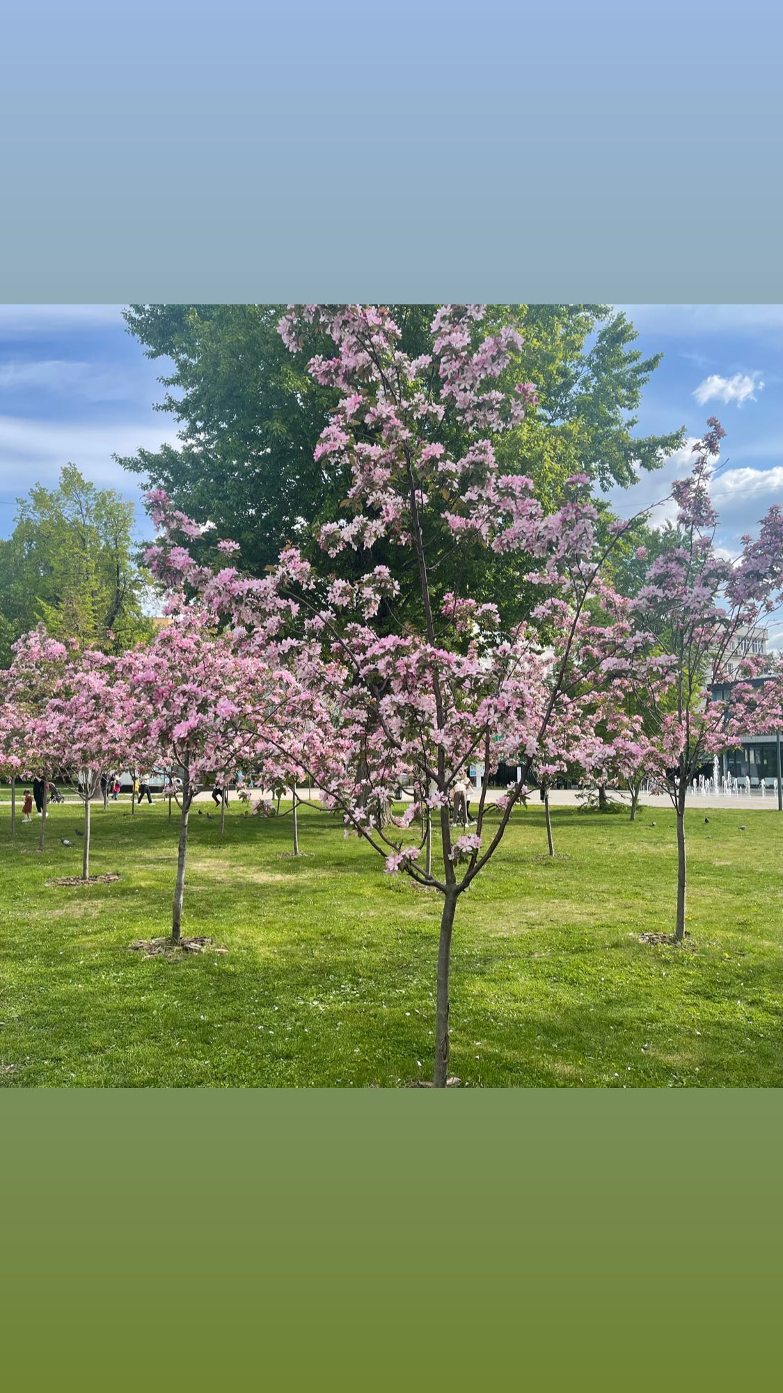 ira_dash_ instagram image archive image