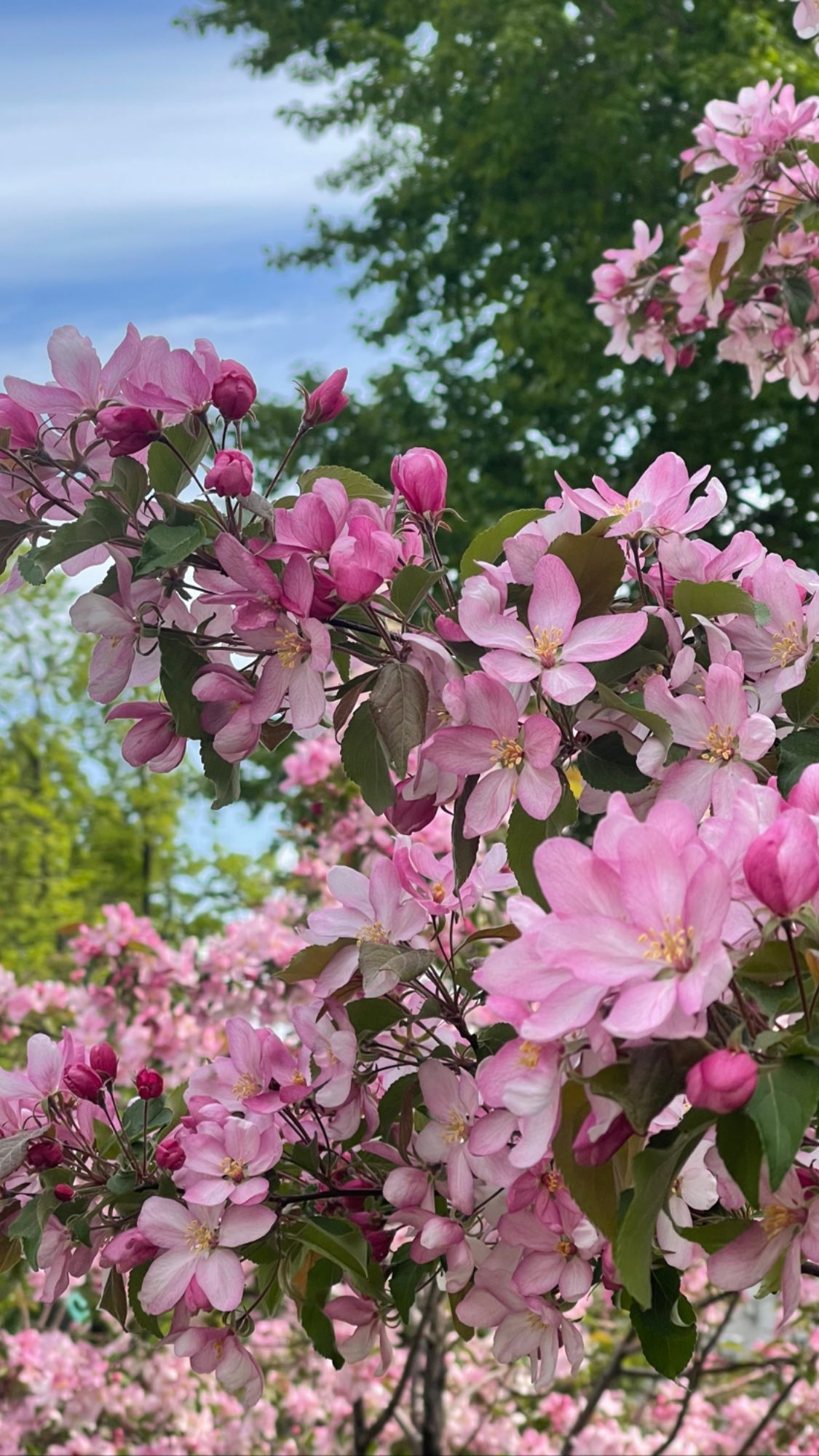 ira_dash_ instagram image archive image