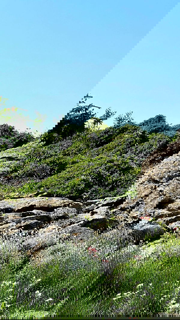 ira_dash_ image ~ Altpins