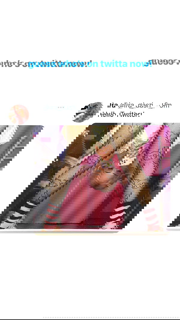 ira_dash_ image ~ Altpins