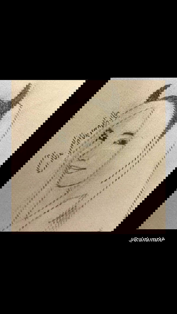 ira_dash_ image ~ Altpins