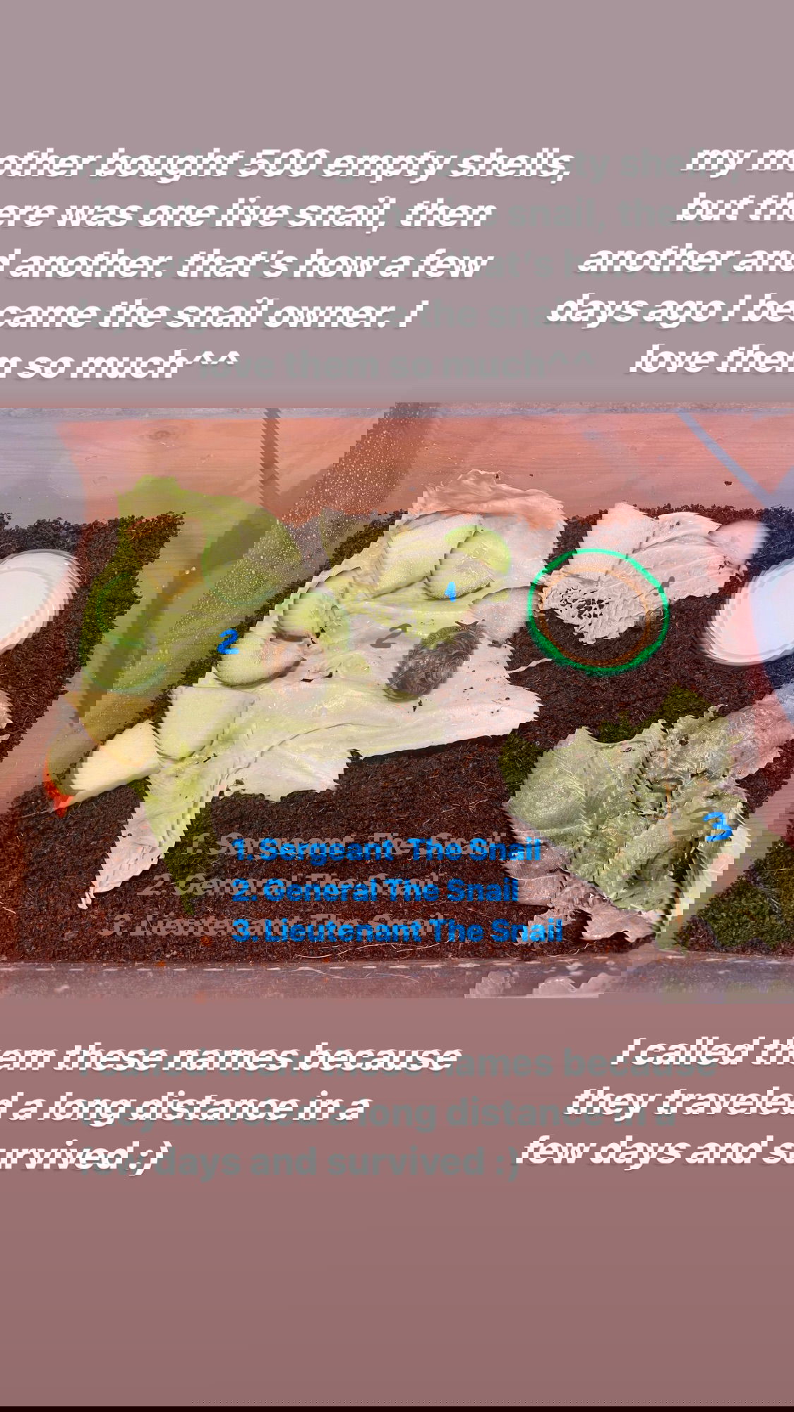 ira_dash_ instagram image archive image