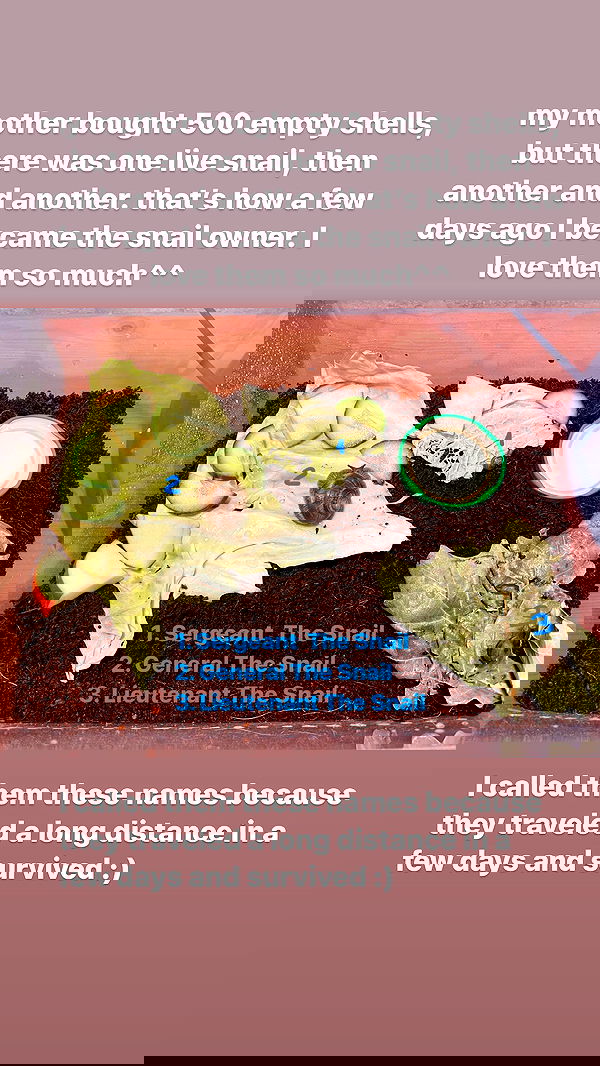 ira_dash_ image ~ Altpins