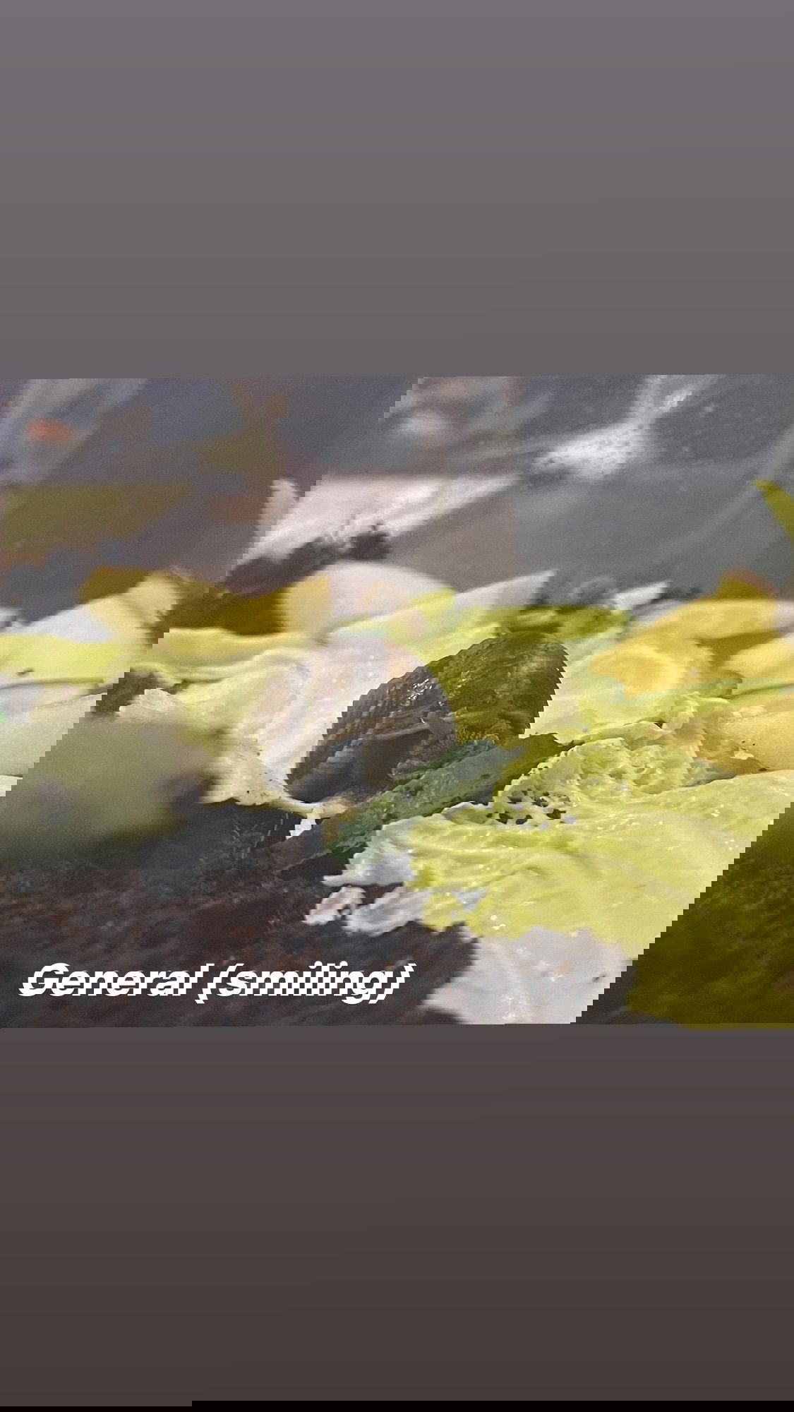 ira_dash_ instagram image archive image