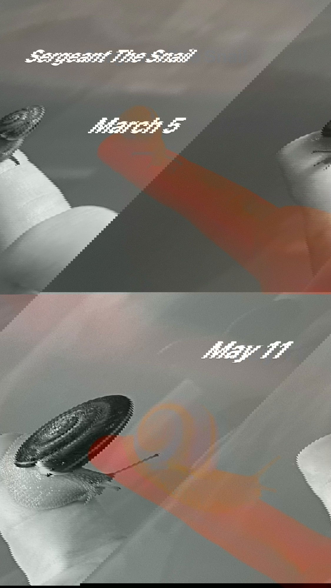 ira_dash_ instagram image archive image