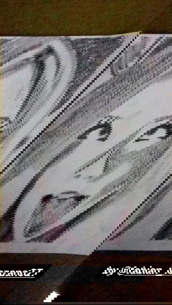 ira_dash_ image ~ Altpins