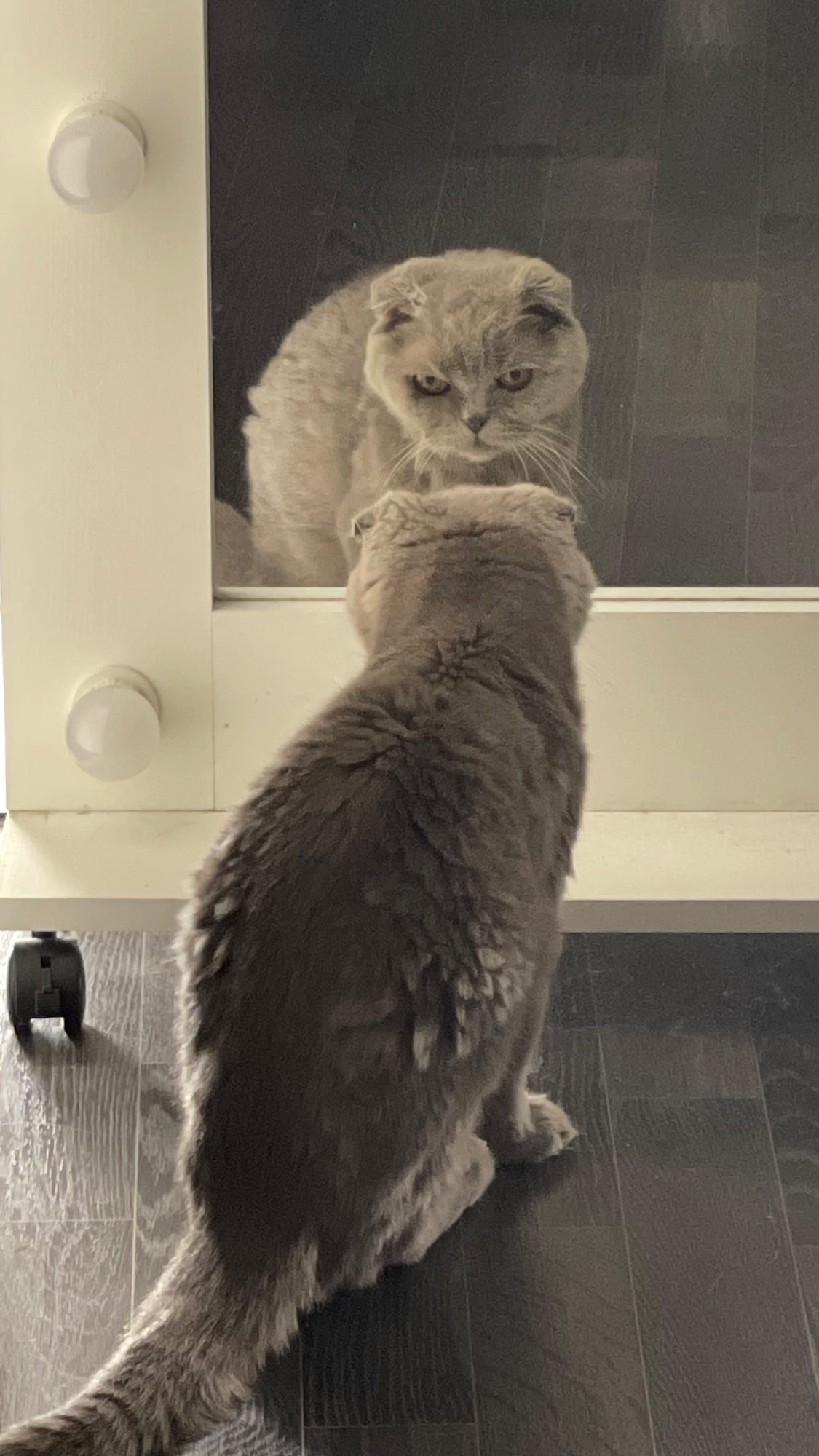 ira_dash_ instagram image archive image