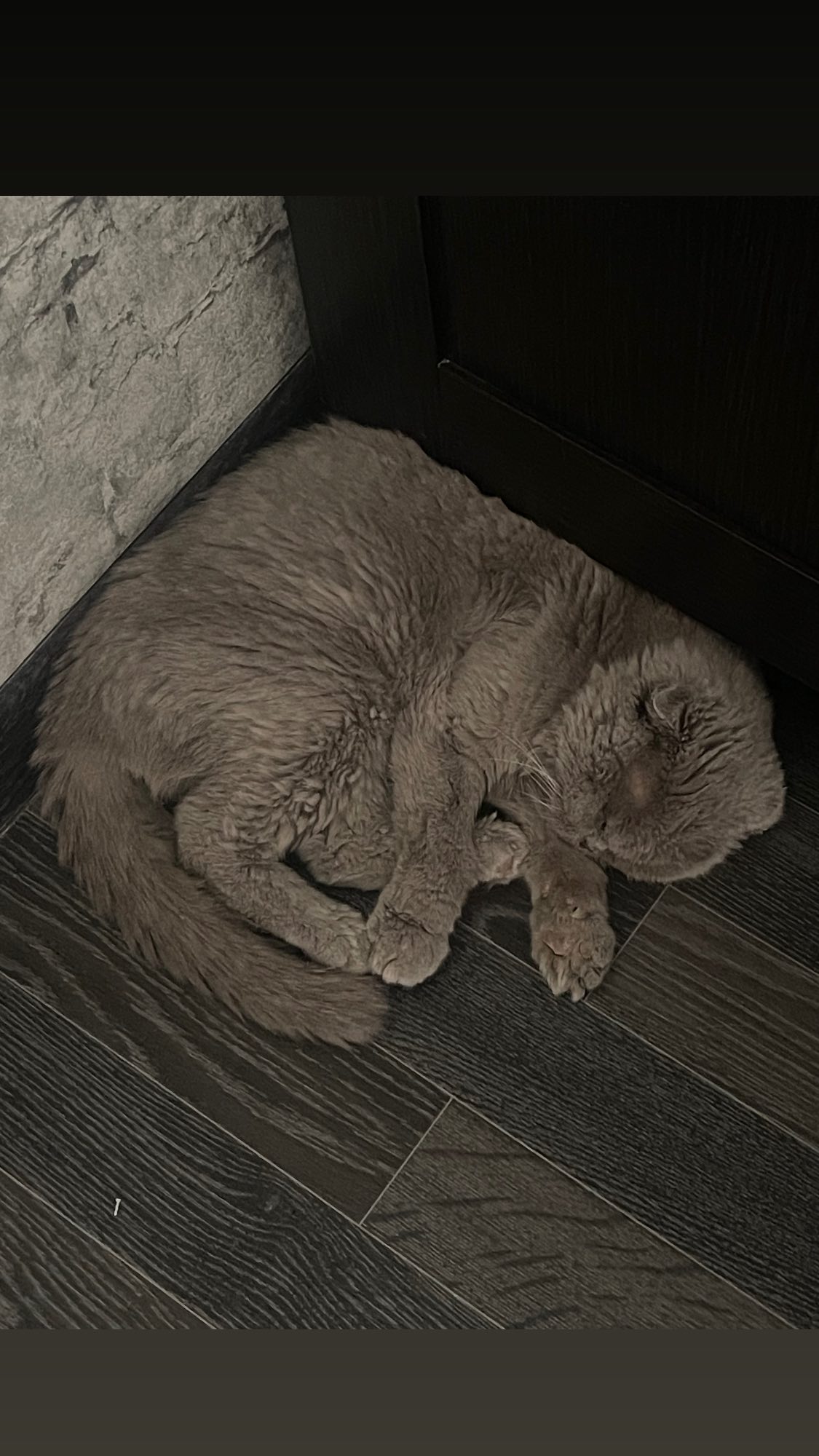 ira_dash_ instagram image archive image