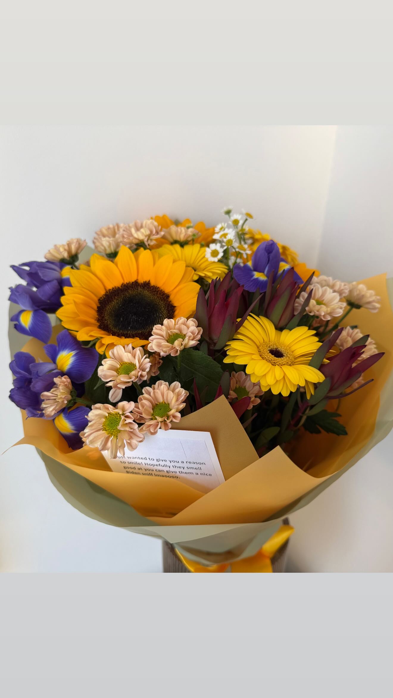 ira_dash_ instagram image archive image