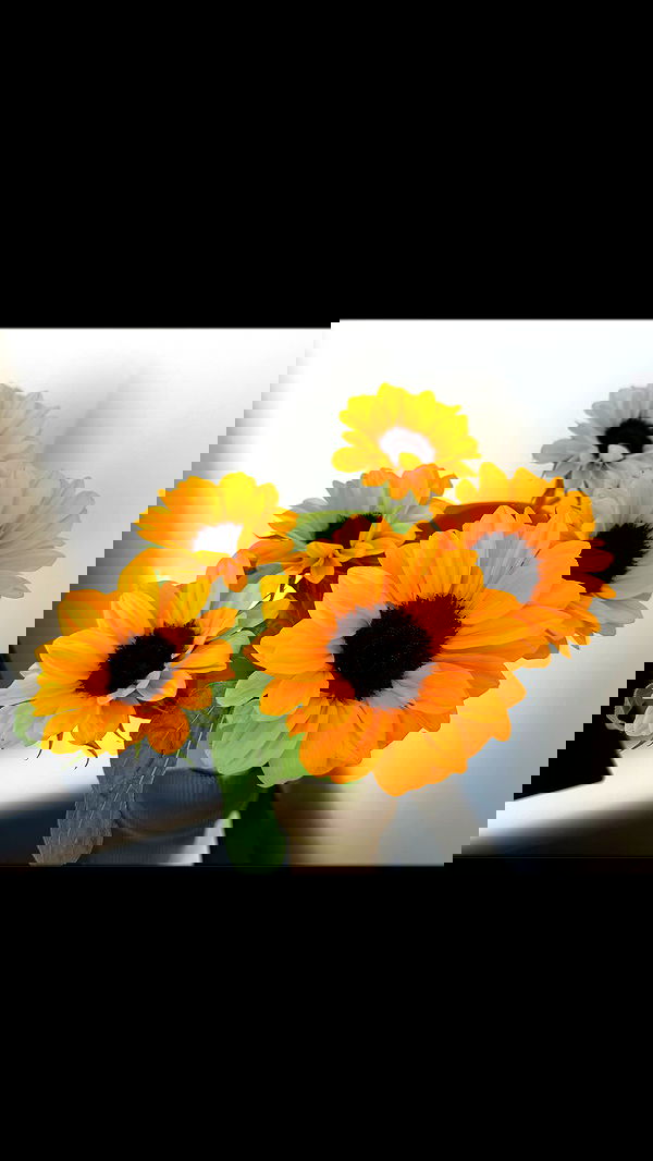 ira_dash_ image ~ Altpins