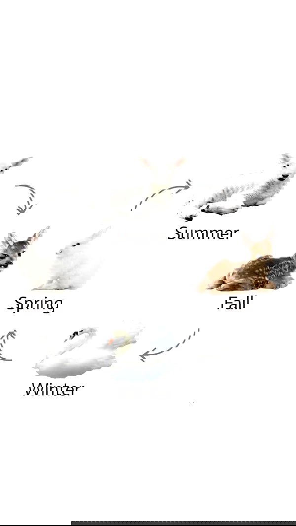 isaewiwiw isaewiwiw archive image