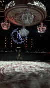 itay.nahman_ Altpins Profile Picture