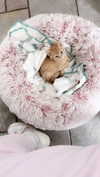 itgirlhan Altpins Profile Picture