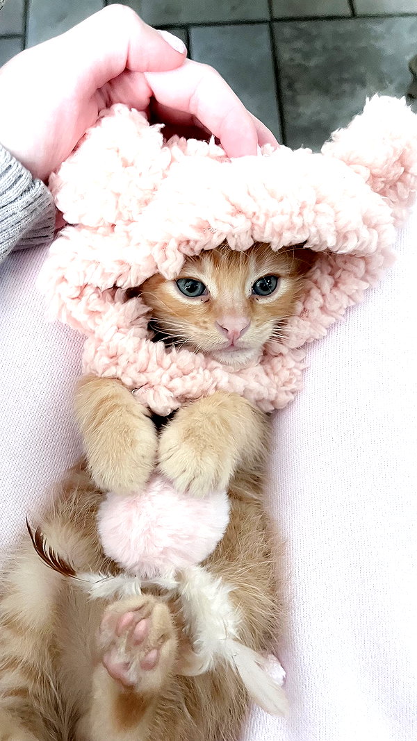 itgirlhan itgirlhan archive image