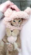 itgirlhan Altpins Profile Picture