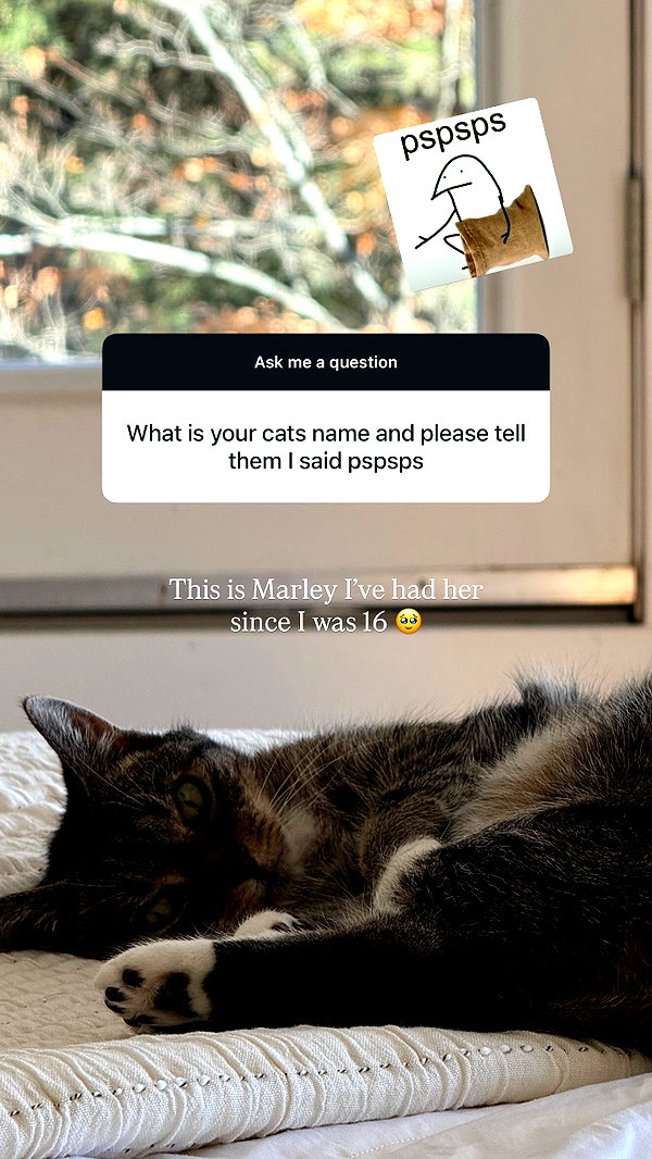 itsbabytana itsbabytana archive image