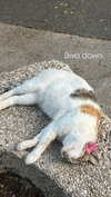 itsellerrrrrrr Altpins Profile Picture