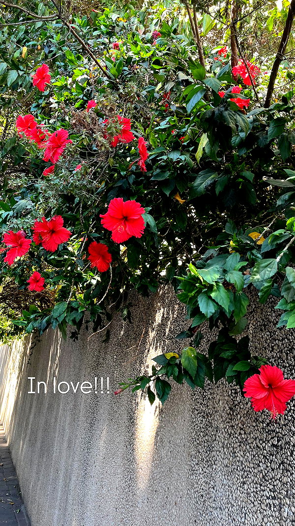 itsellerrrrrrr instagram image archive image
