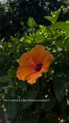 itsellerrrrrrr Altpins Profile Picture
