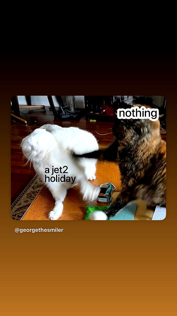 itsellerrrrrrr instagram image archive image