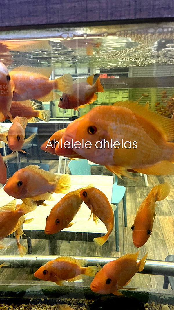 itsellerrrrrrr instagram image archive image