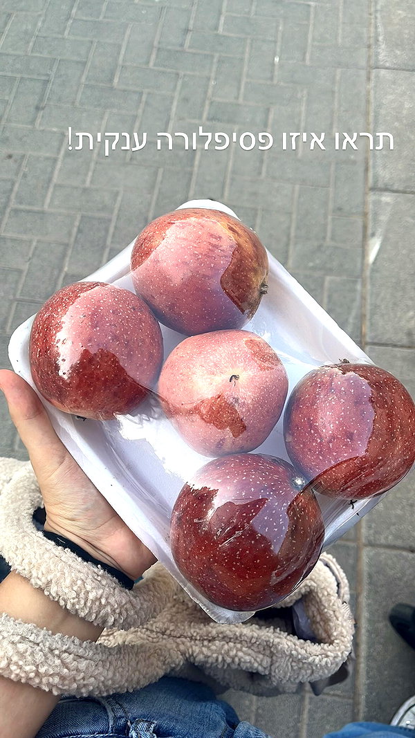 itsellerrrrrrr instagram image archive image