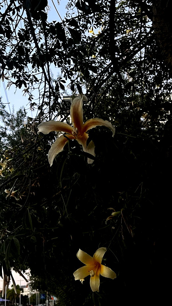 itsellerrrrrrr itsellerrrrrrr archive image