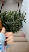 itsemilyblack Altpins Profile Picture