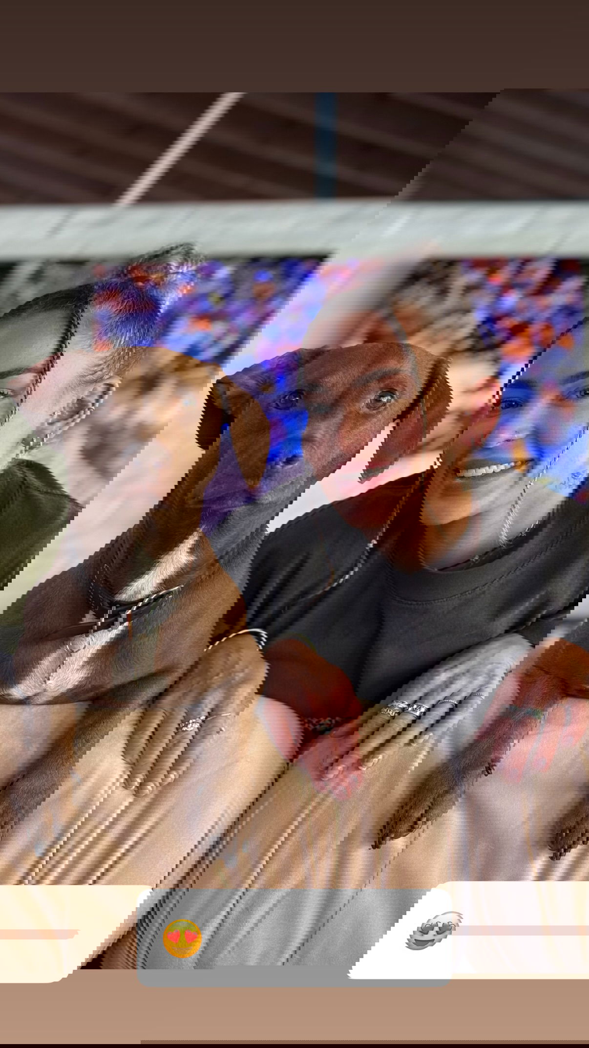 itshayleydavies instagram image archive image