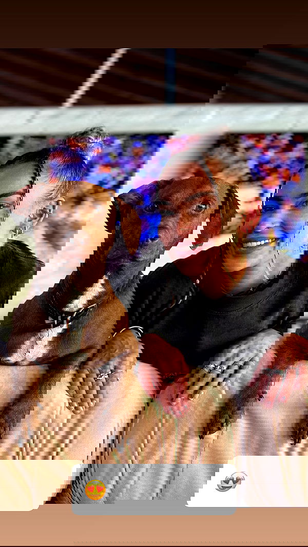 itshayleydavies image ~ Altpins