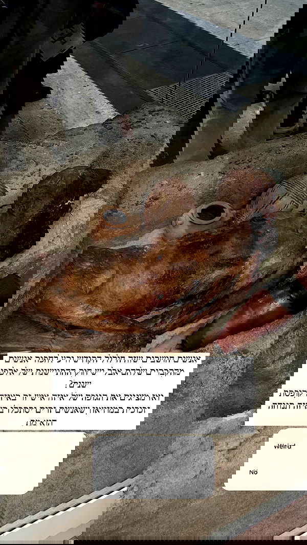 itsilanosh itsilanosh archive image