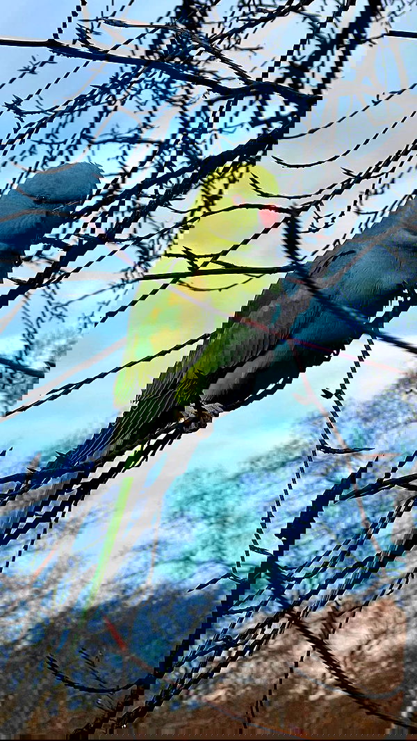 itsilanosh itsilanosh archive image