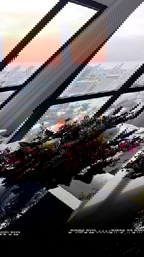 itsilanosh itsilanosh archive image