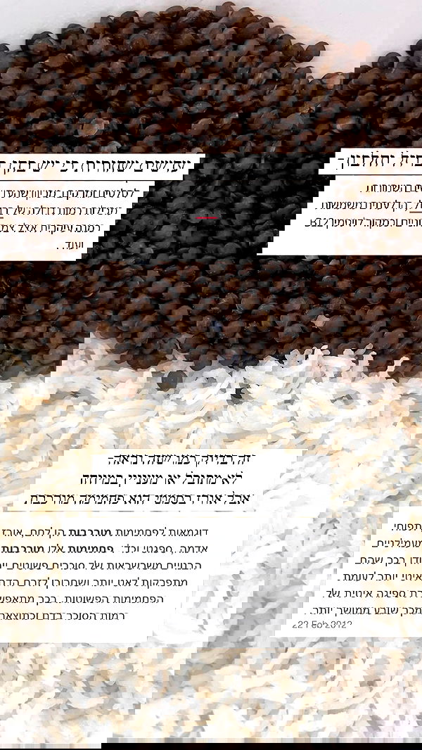 itsilanosh itsilanosh archive image