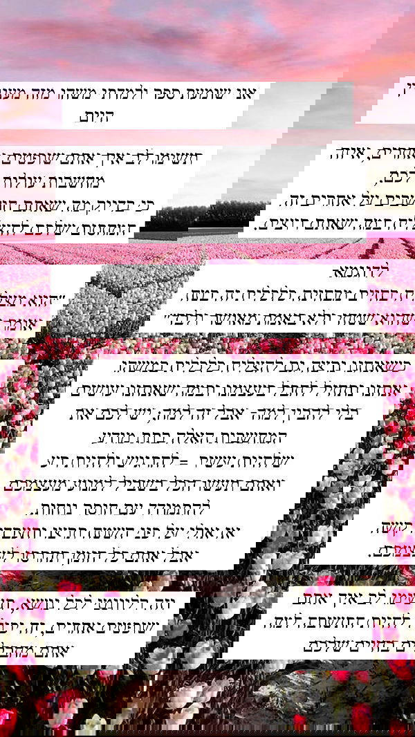 itsilanosh itsilanosh archive image