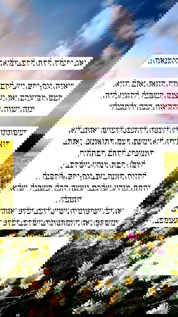 itsilanosh itsilanosh archive image