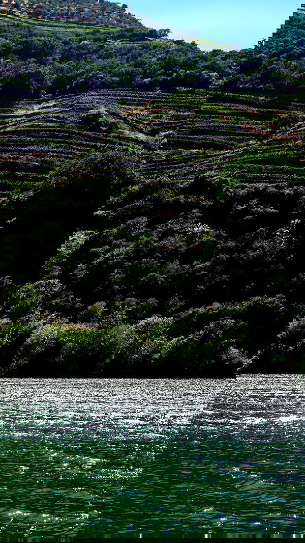 itsilanosh itsilanosh archive image