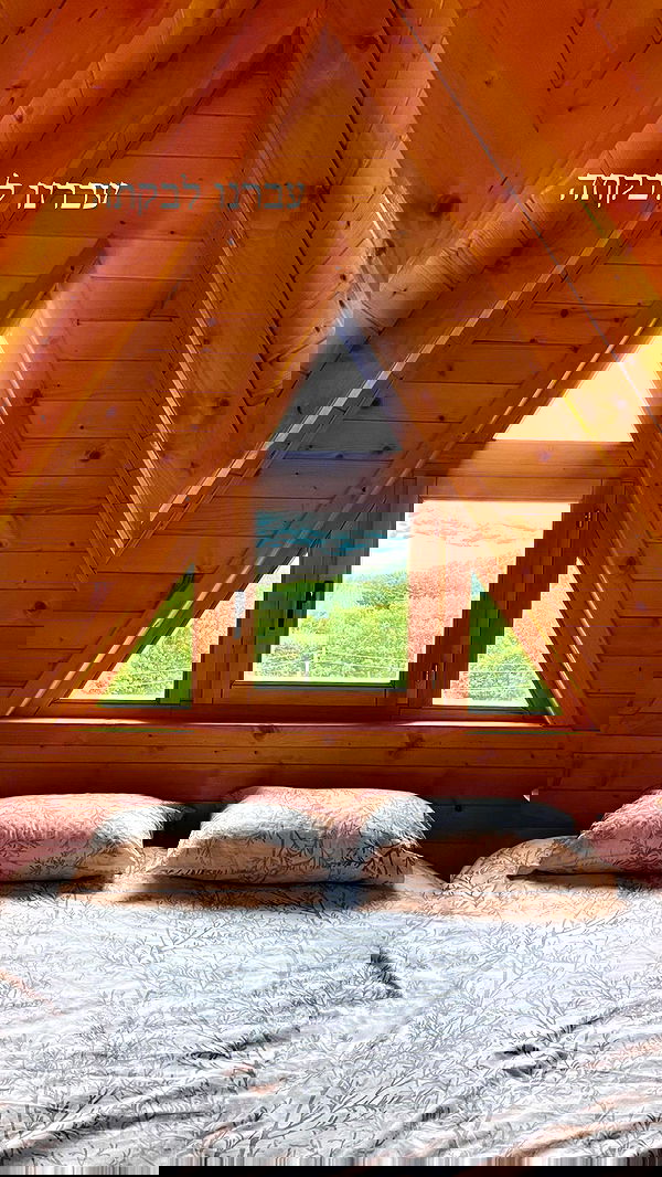 itsilanosh itsilanosh archive image