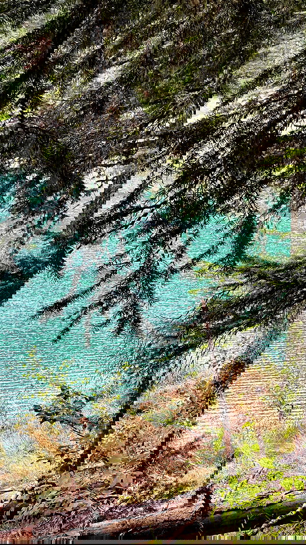 itsilanosh itsilanosh archive image