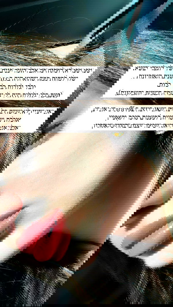 itsilanosh itsilanosh archive image