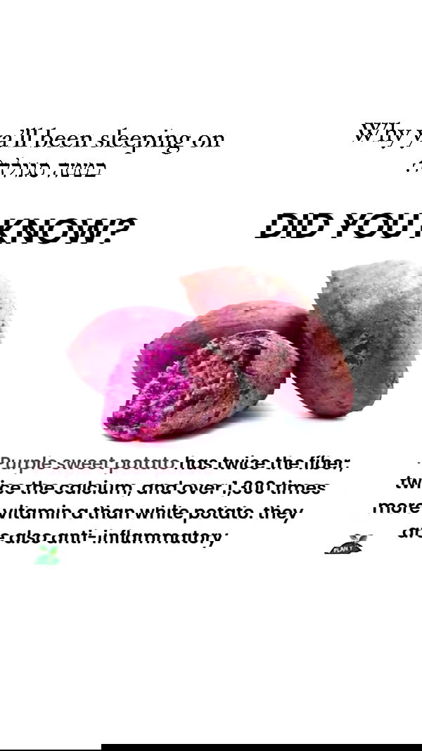 itsilanosh itsilanosh archive image