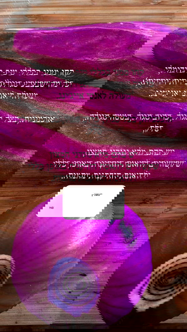 itsilanosh itsilanosh archive image